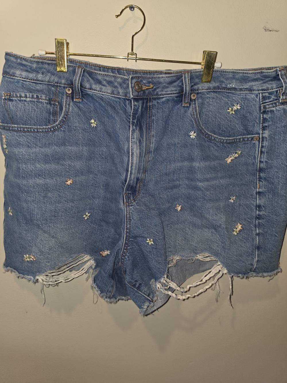 American Eagle Outfitters Embroidered Light Blue Denim Shorts